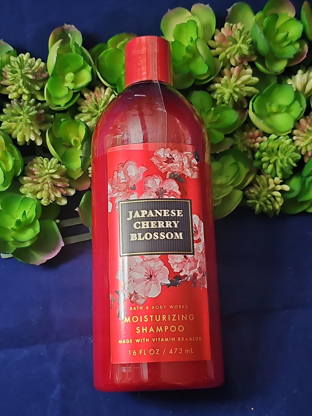 Bath & Body Works Japanese Cherry Blossom Moisturizing Shampoo - Full Size 16 Oz